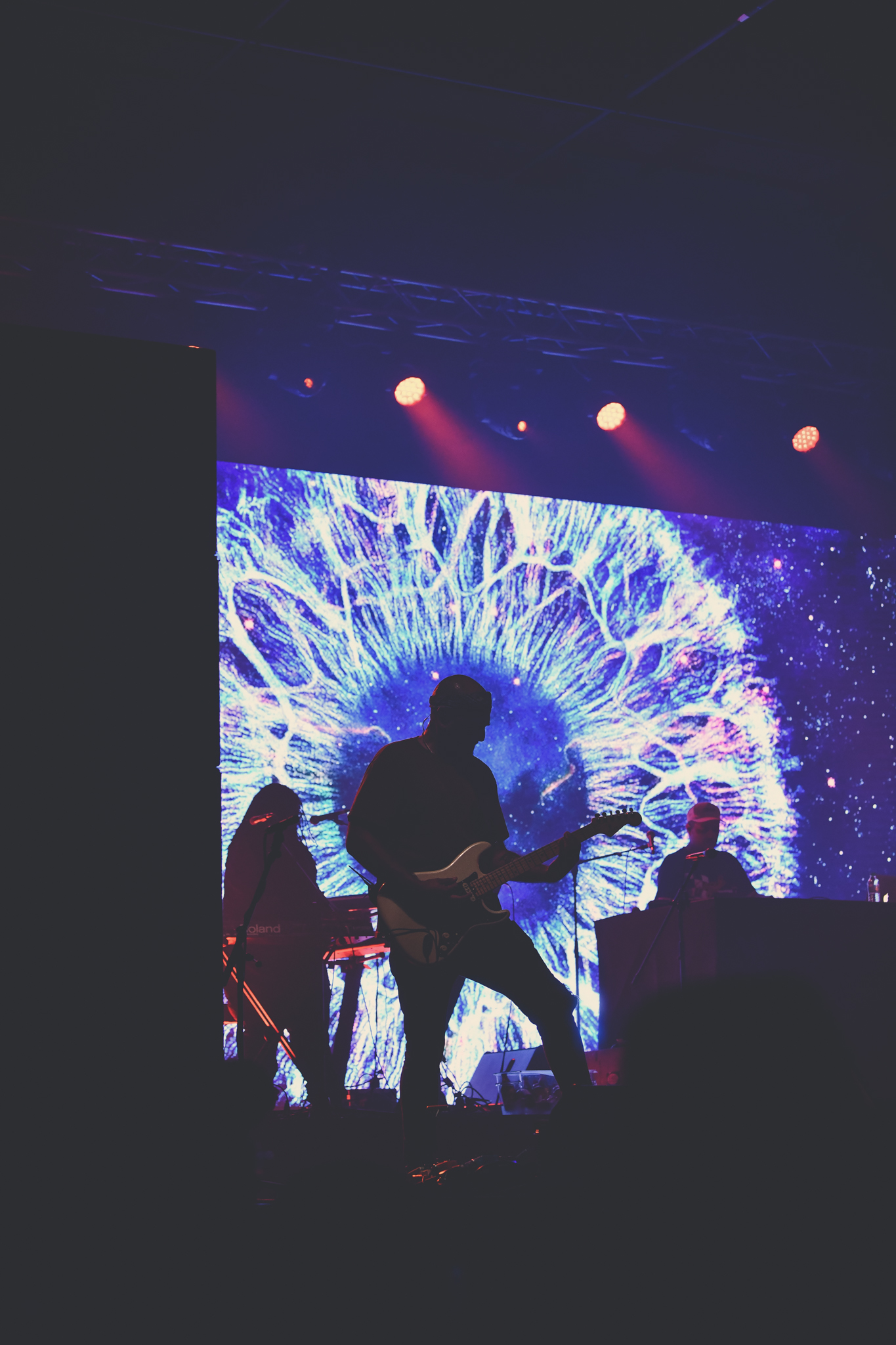 Anderson Park Concert