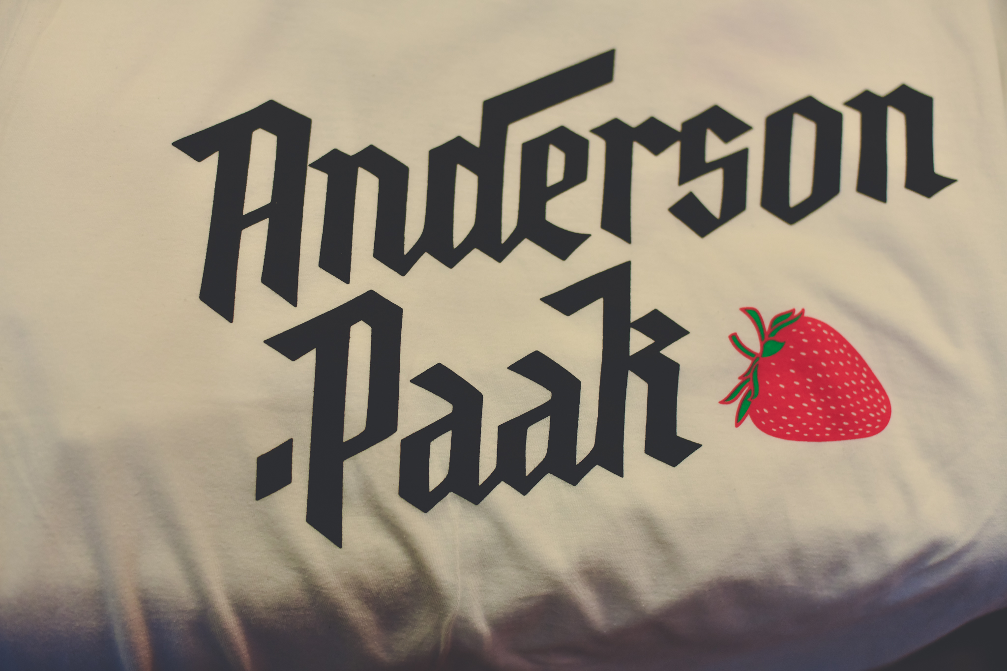 Anderson Park Concert